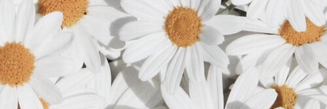 AriLara95's profile banner image