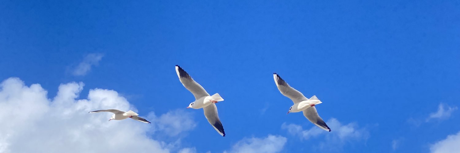 ParentiArnaud's profile banner image