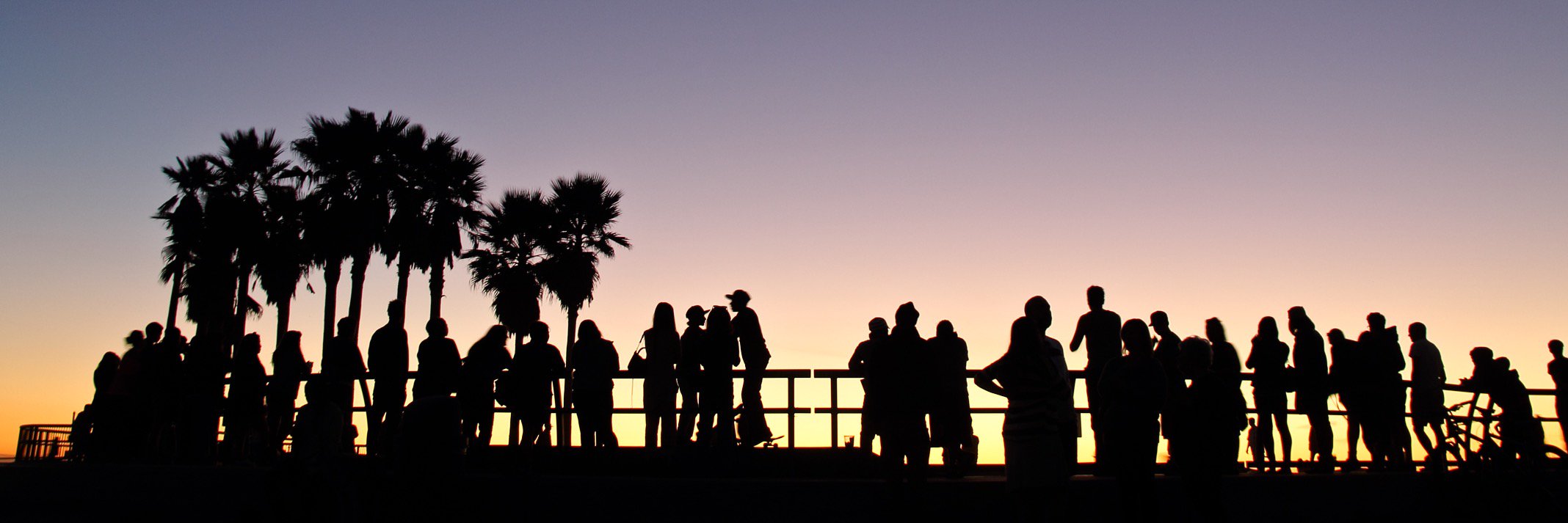vivicalderon's profile banner image