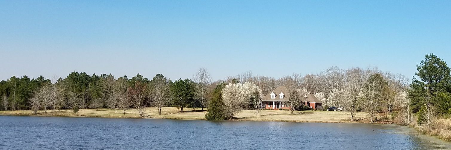 benson_hill's profile banner image