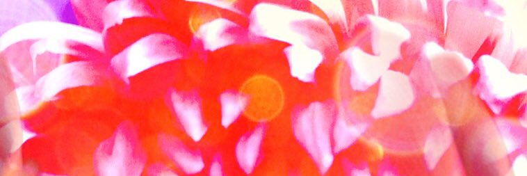 va_peu's profile banner image