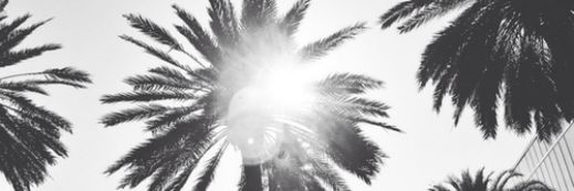 Steven Shepherd banner