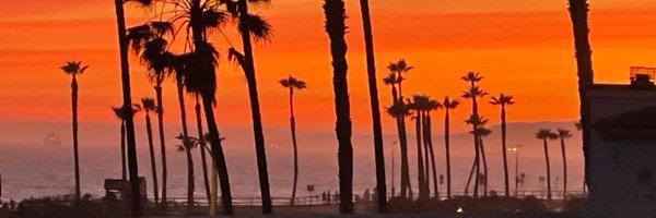 mlrhino Profile Banner