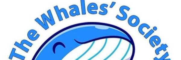 Whales_signals1 Profile Banner