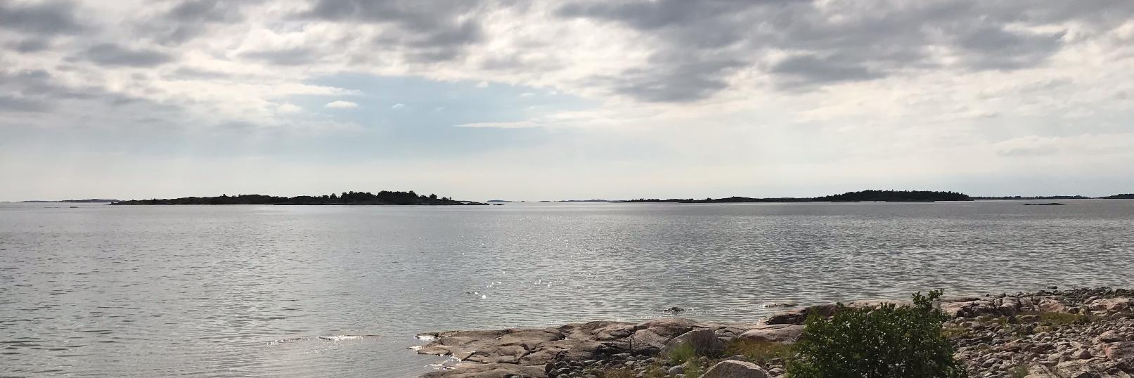 Rasmus Vuori banner