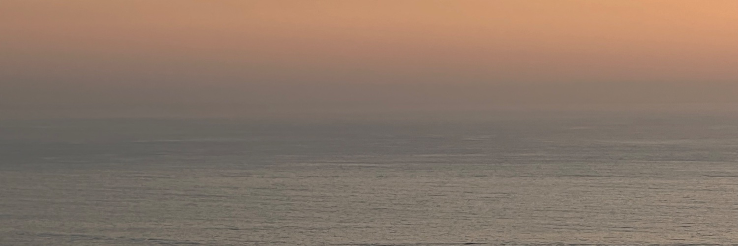 Anne Slaughter banner