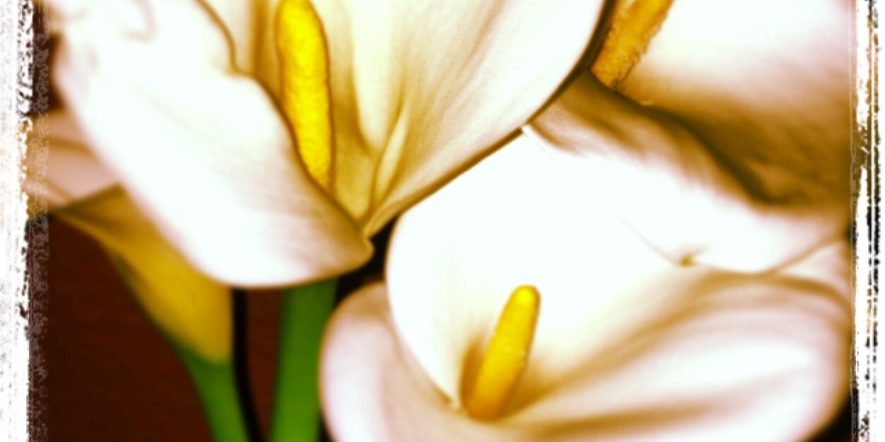 CZuad's profile banner image