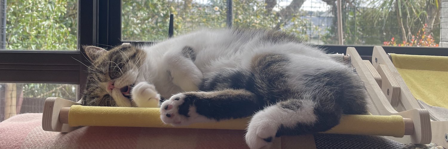 CabbageMittens's profile banner image