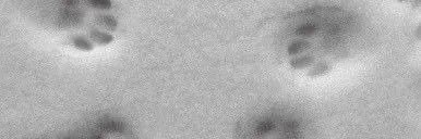 Luneeee08's profile banner image