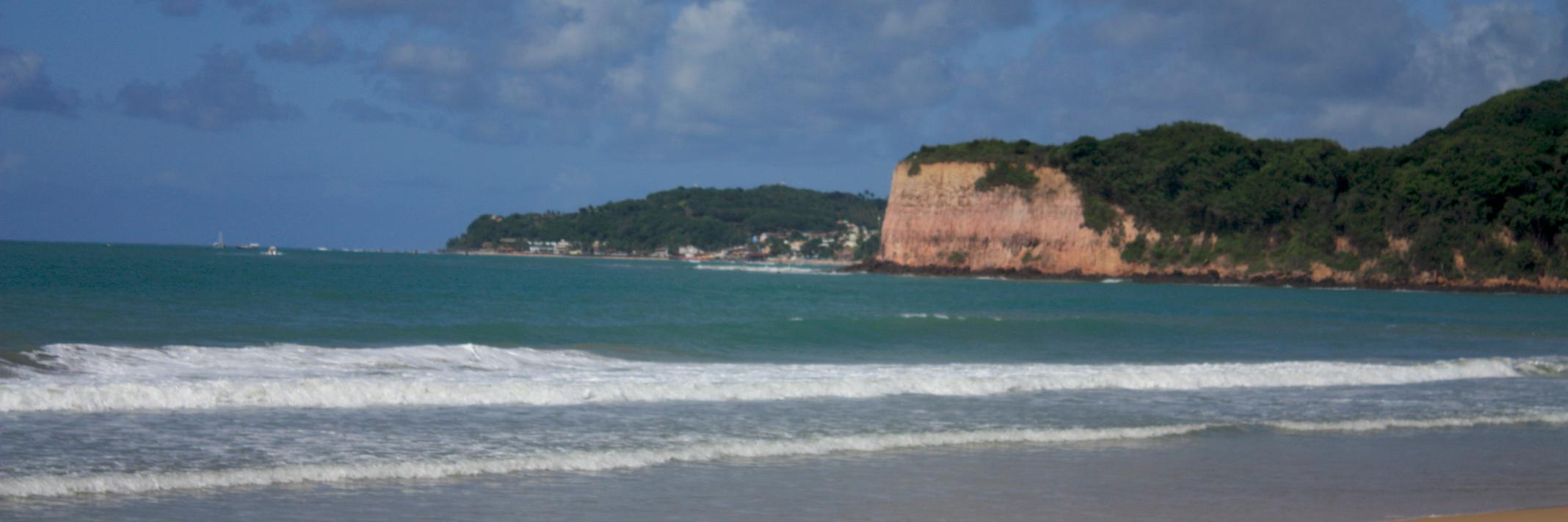 💚Nadia Koziner💚 banner