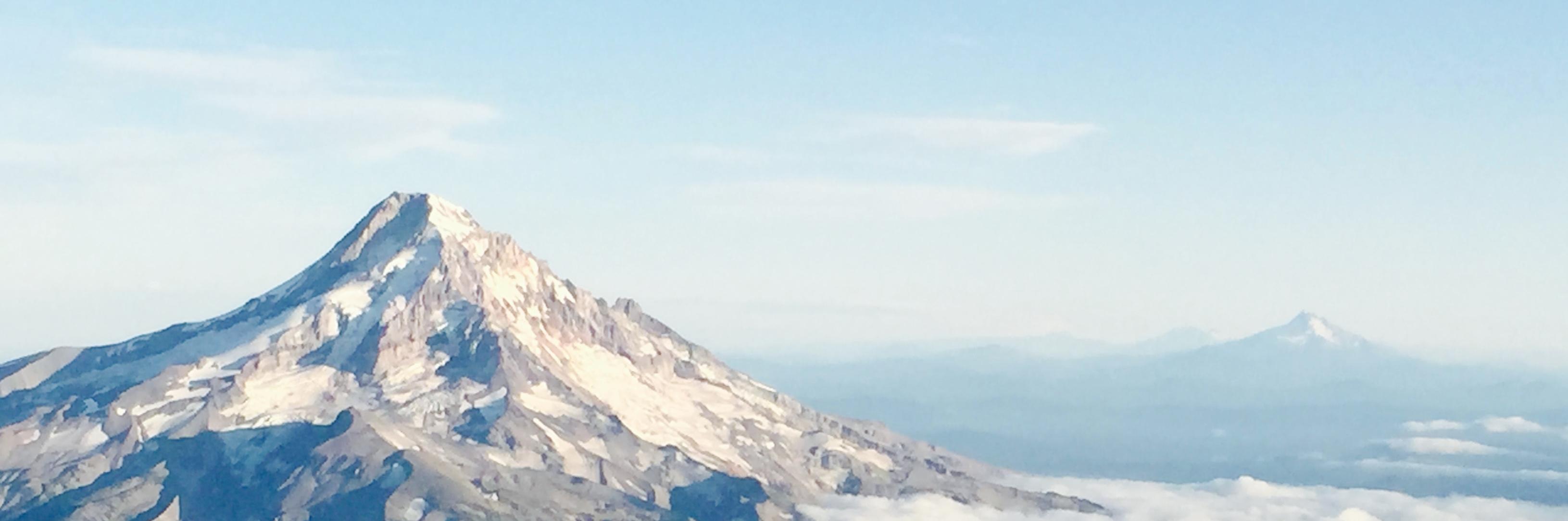 janerib's profile banner image