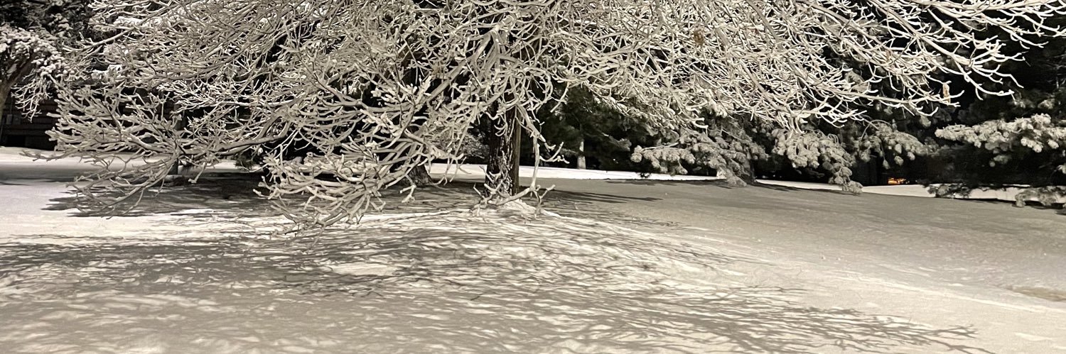 _jennifer2019's profile banner image