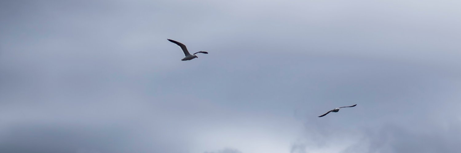 SarahCDurham1's profile banner image