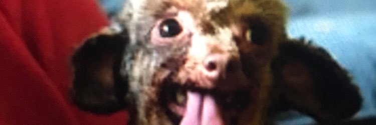 m_webb01's profile banner image