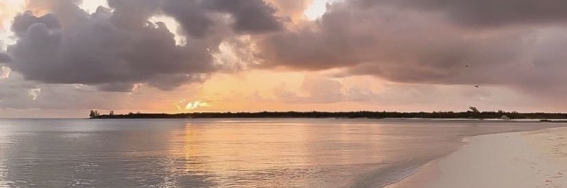 carlyreevess's profile banner image