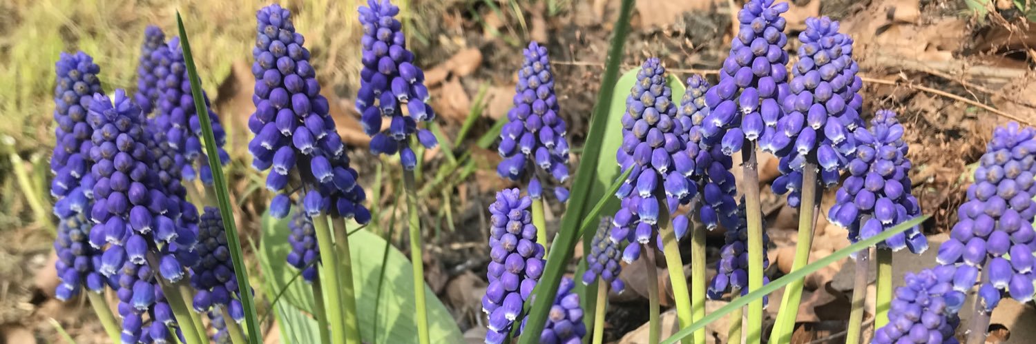 Yerin Kay, MPAS, PA-C banner