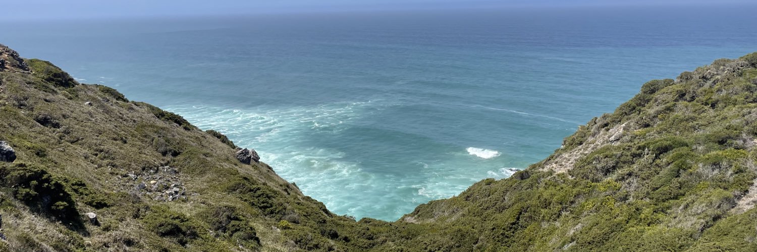 Willian Santos banner