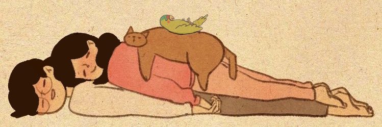 amkween's profile banner image