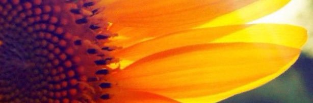 Ms_sunshine2014's profile banner image