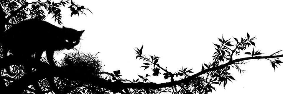 darkromance's profile banner image