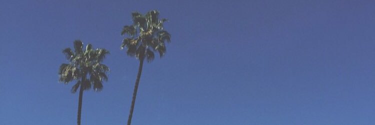 XNLCXX's profile banner image
