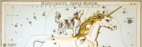 Activist Profile Banner