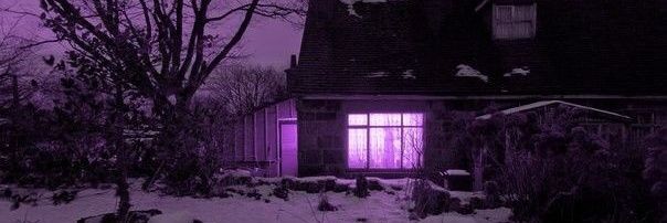 LisLiz banner