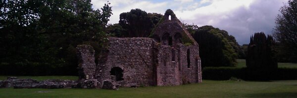 willwoods Profile Banner