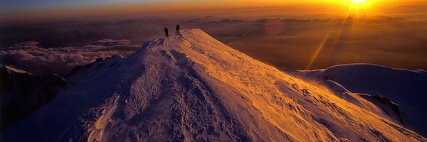 carti Profile Banner