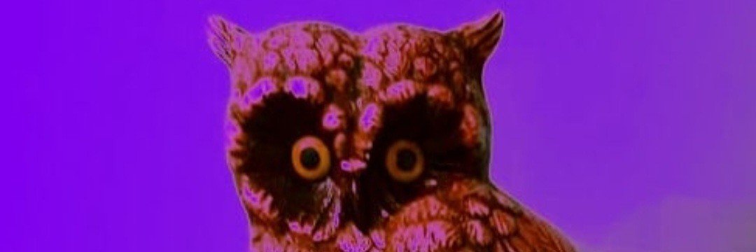 Murapudiel's profile banner image