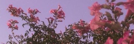 _evegal's profile banner image