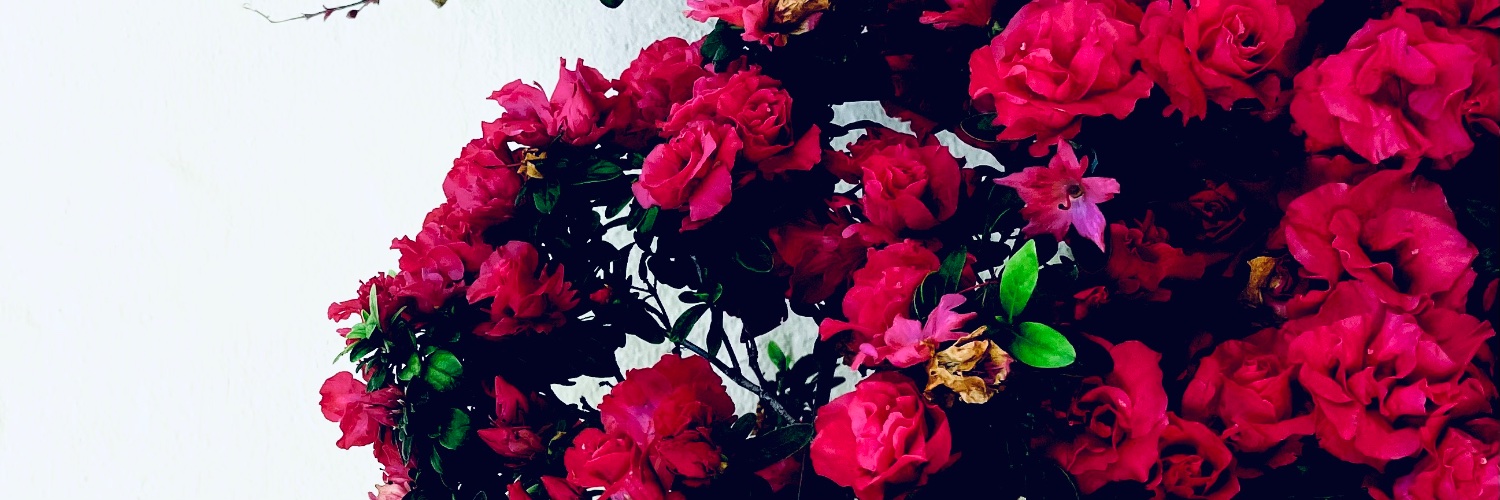 Alberto Marzan banner