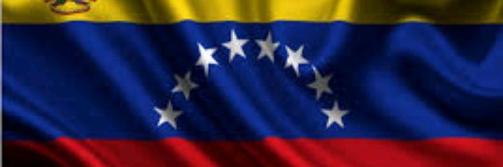 PerroNevado's profile banner image