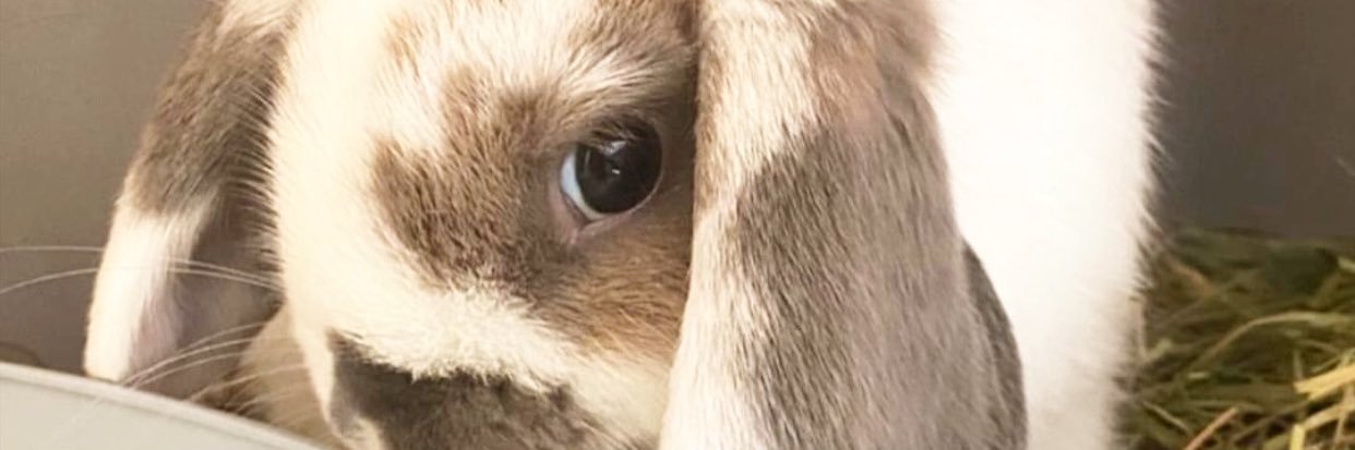 Andrew Stanton (he/him) banner