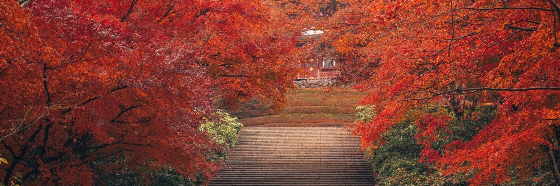 Peter Elstrom banner