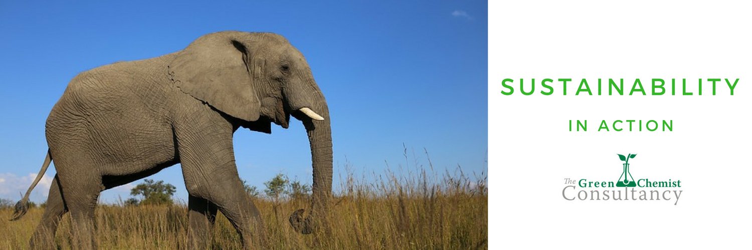 Dr_Barbara1's profile banner image