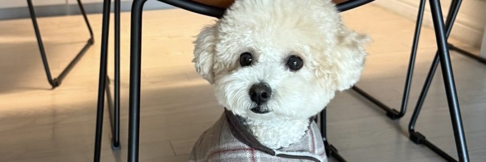 jez ◡̈ banner
