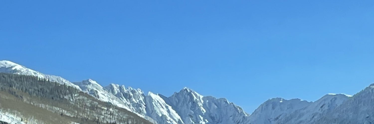 rlangenauer's profile banner image