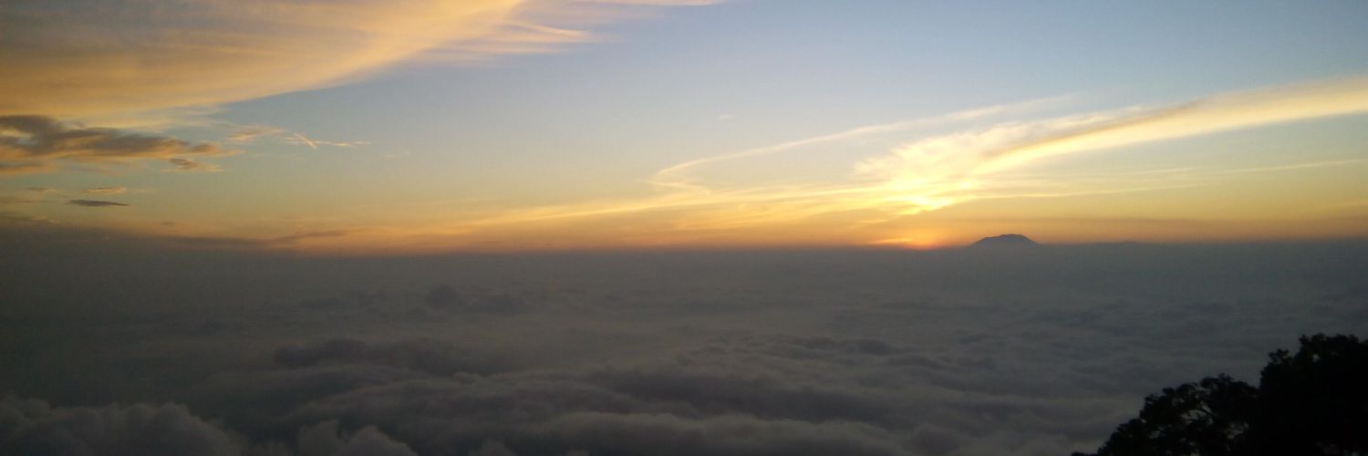 adestya_'s profile banner image
