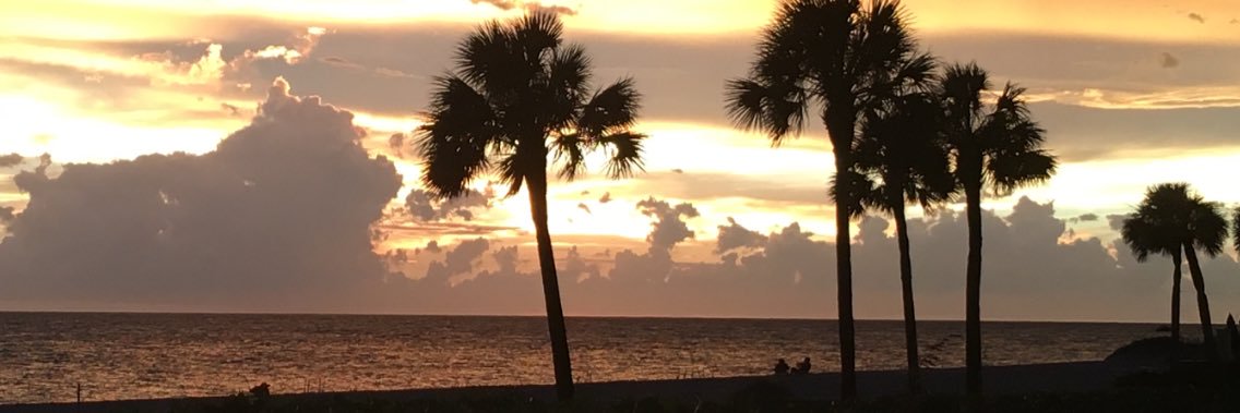amyj99k's profile banner image