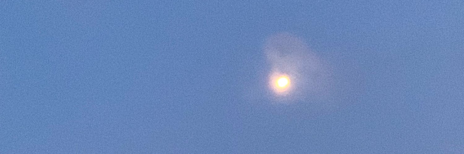 norethisterone's profile banner image