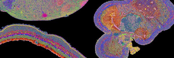 GrayCampLab Profile Banner