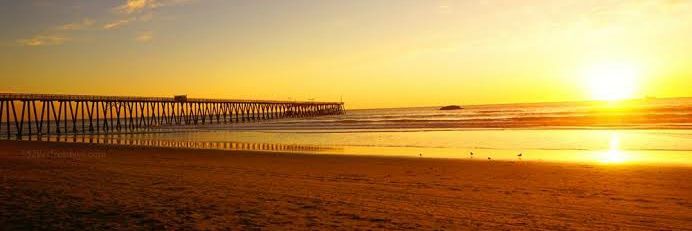 Leo.Single.casanova banner