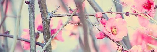 Muchi_Bz's profile banner image