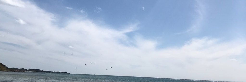 Irishpanda1's profile banner image