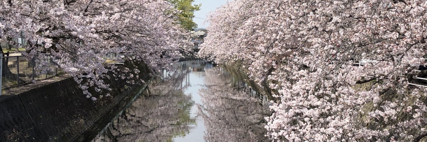 めるちゃん#ねおちかいわい banner