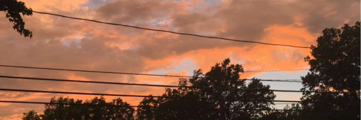 alice_ann97's profile banner image