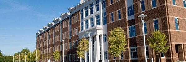 Zeba Hashmath banner