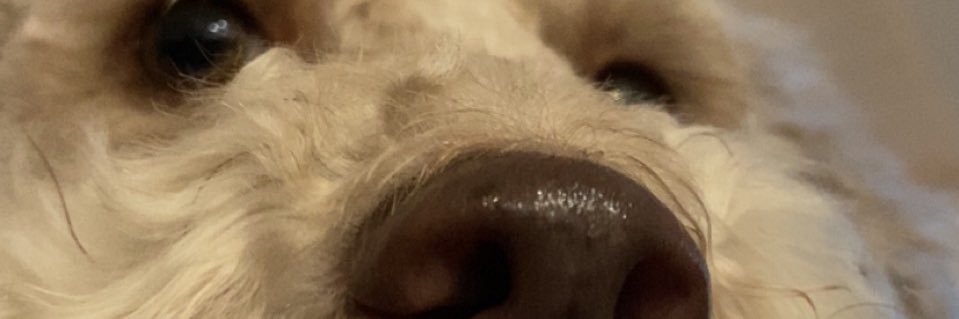 madilyn_20's profile banner image