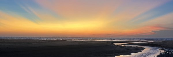Noodz2929 Profile Banner